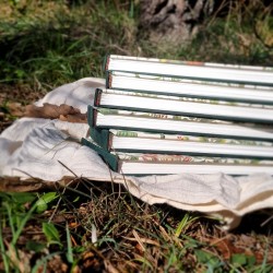 Carnet botanique artisanal carnettiste mix media 240g