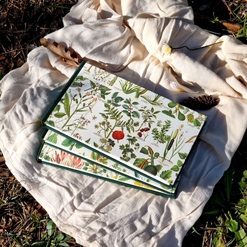 Carnet botanique artisanal carnettiste mix media 240g