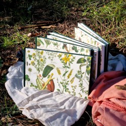 Carnet botanique artisanal carnettiste mix media 240g