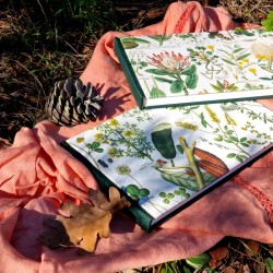 Carnet botanique artisanal carnettiste mix media 240g