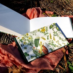 Carnet botanique artisanal carnettiste mix media 240g