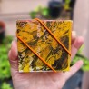 Carnet serpent gelli printing (Atelier de création d'un)