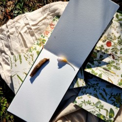 Carnet artisanal illustration botanique carnettiste mix media papier canson 200g