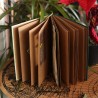 Album Mon herbier